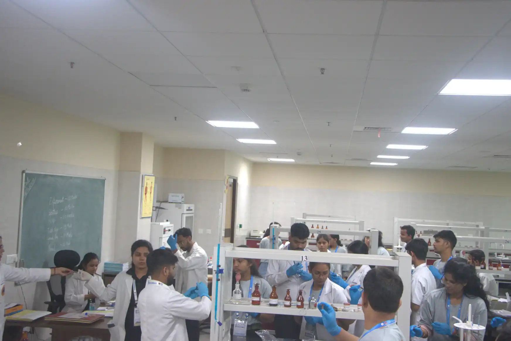 Workshop Image 6